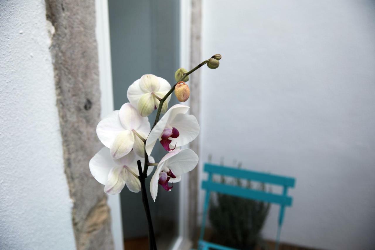 Santo Amaro'S House Apartment ลิสบอน ภายนอก รูปภาพ